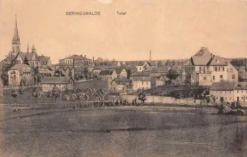 Totalansicht von Geringswalde Sachsen Postkarte AK 1917