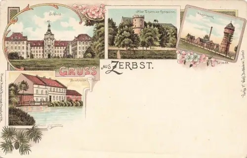 Gruss aus Zerbst Buschmühle und Wasserwerk Sachsen-Anhalt Litho Postkarte AK