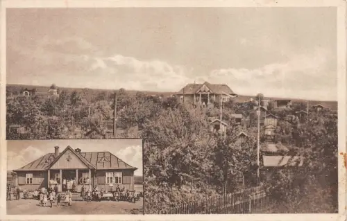 AK Wüstenbrand Hohenstein Ernstthal Schrebergarten Verein Postkarte