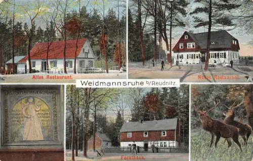 Reudnitz Werdau Weidmannsruhe Gasthaus Restaurant Forsthaus Postkarte