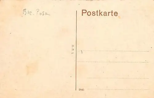 Lissa Bez. Posen Totalansicht Postkarte
