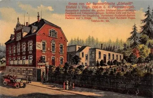 Gruss von der Sommerfrische "Edelweiß" Ellefeld i. Vogtl. Postkarte AK