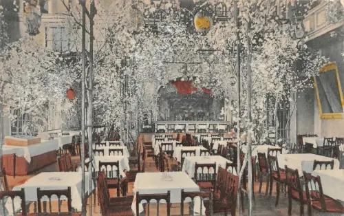 Waldschlößchen in Dresden Sachsen Postkarte AK 1911