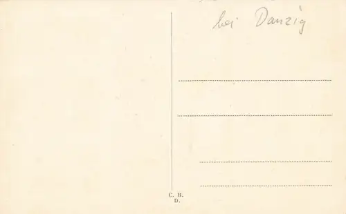 Panorama mit Kirchen, Schloss und Turm in Oliva Danzig Postkarte AK