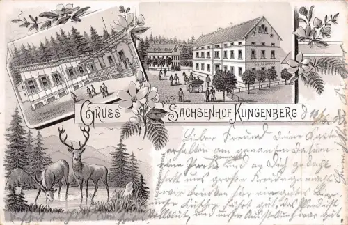 Gruss aus Sachsenhof, Klingenberg, Dresdener Sommerheim, Bahnpost 1900