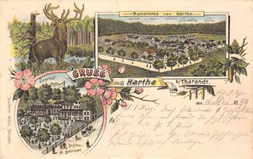 Gruss aus Hartha b. Tharandt, Gasthof, Panorama, Postkarte 1899