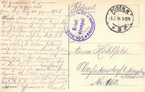 Posen Botanischer Garten Feldpostkarte AK 1916