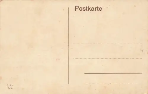 Partie am Wannsee Berlin Steglitz-Zehlendorf Postkarte AK