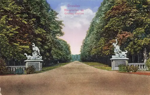 Hauptallee im Großen Garten in Dresden Sachsen Postkarte AK 1927