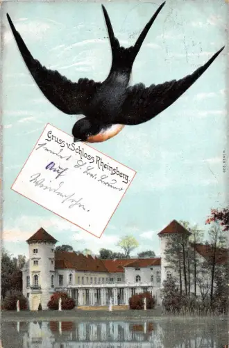 Gruss von Schloss Rheinsberg Schwalbe AK 1909