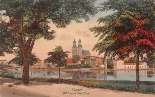 Gnesen (Gniezno) Blick nach dem Dom AK 1915