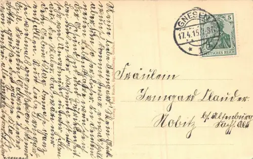 Gnesen (Gniezno) Blick nach dem Dom AK 1915