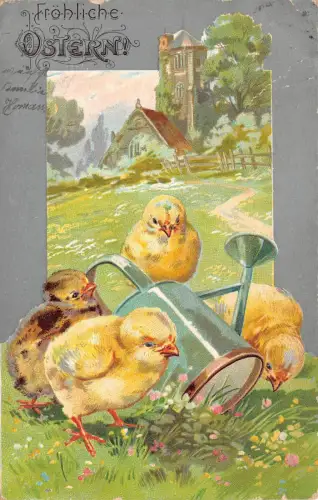 Ostern Kücken mit Gießkanne Postkarte