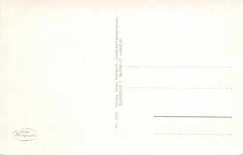 Ansicht auf Tetschen-Bodenbach Sudetenland Postkarte AK