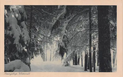 Riesengebirge Winterwald Postkarte AK