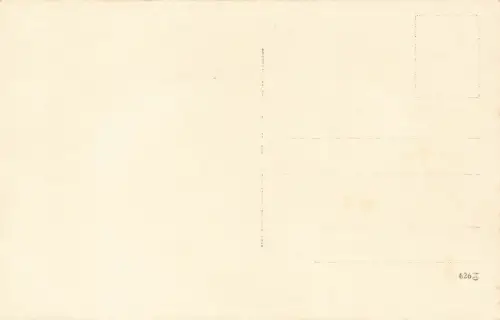 Ansicht Ehrensäule Dreifaltigkeit in Eisenstadt Österreich Postkarte AK