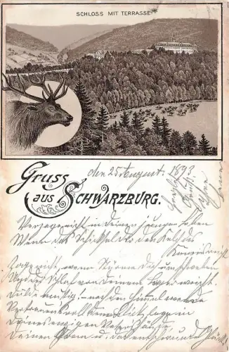 Gruss aus Schwarzburg Schloss mit Terrasse Thüringen Postkarte AK 1893