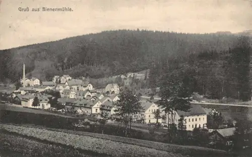 Gruß aus Bienenmühle Sommerfrische Sachsen Postkarte AK