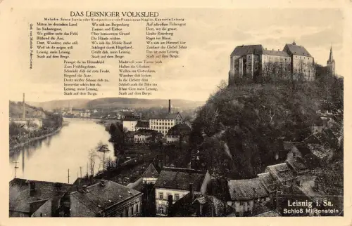 Stadtansicht und Schloss Mildenstein in Leisnig Sachsen Postkarte AK 1941