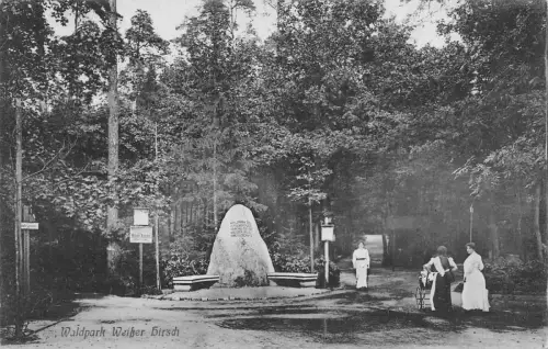 Waldpark Weißer Hirsch Postkarte