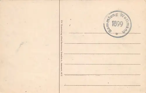 Waldpark Weißer Hirsch Postkarte