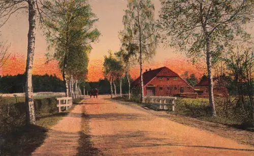 Partie an der Landstraße bei Forst Egels Ostfriesland Niedersachsen Postkarte AK