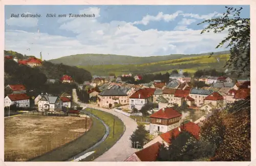 Blick vom Tannenbusch Sommerfrische Bad Gottleuba Sachsen Postkarte AK 1942