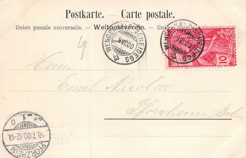 Wengernalp Schweiz Postkarte AK 1900