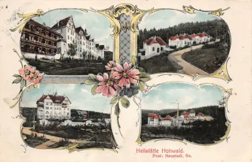 Heilstätte Hohwald bei Neustadt Sachsen Litho Postkarte AK 1911
