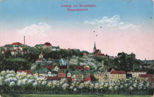 Stadtansicht Leisnig zur Kirschsblüte Postkarte Sachsen AK 1928