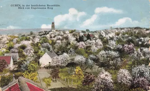 Blick vom Engelmanns Berg Baumblüte in Guben Brandenburg Postkarte AK 1928