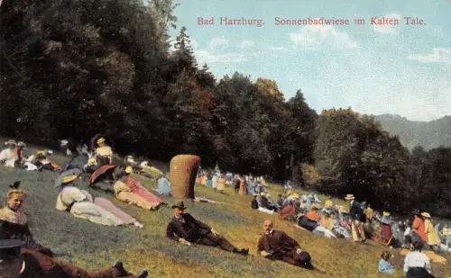 Bad Harzburg Sonnenbadwiese im Kalten Tale Niedersachsen Postkarte AK 1919