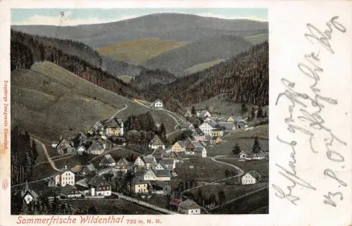 Stadtansicht Wildenthal bei Eibenstock im Erzgebirge Sachsen Postkarte AK 1907
