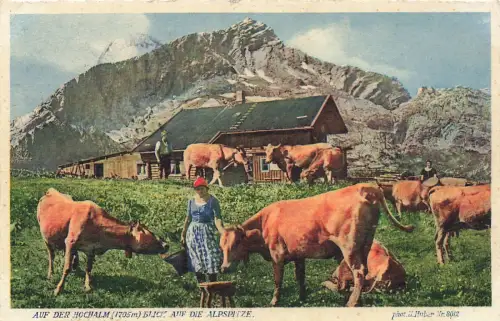 Blick auf die Alpspitze Auf der Hochalm Bayern Postkarte AK 1937