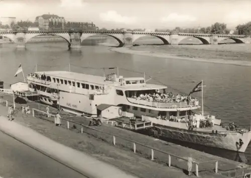 Weiße Flotte an Anlegestelle in Dresden Sachsen Postkarte AK