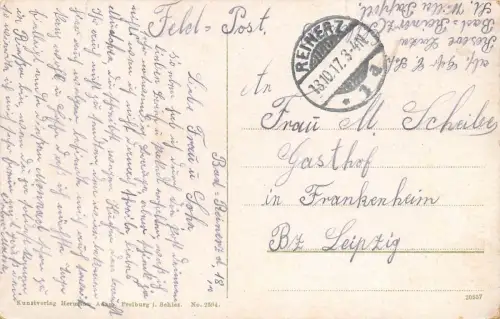 Blick auf die Stadt Bad Reinerz/Duszniki-Zdrój Postkarte 1917