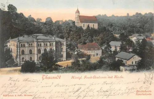 Tharandt Königl. Forst-Akademie mit Kirche Handkolorierte Künstlerkarte AK 1900