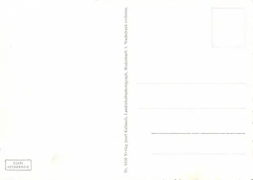 Tetschen-Bodenbach (Sudetengau) Postkarte AK