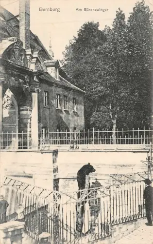 Bernburg Am Bärenzwinger Postkarte AK 1907