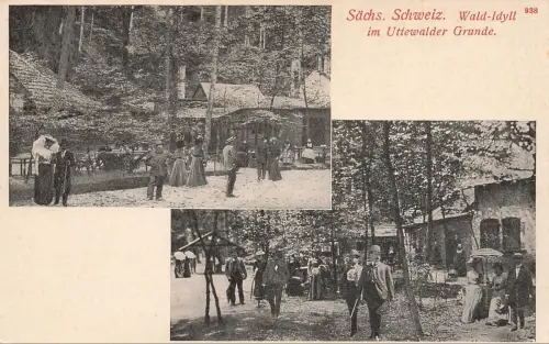 Wald-Idyll im Uttewalder Grund Sächsische Schweiz Sachsen Postkarte AK
