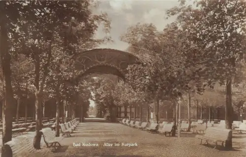 Bad Kudowa Allee im Kurpark Postkarte AK