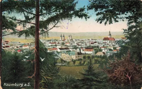 Stadtansicht auf Naumburg Saale Sachsen-Anhalt Postkarte AK 1915