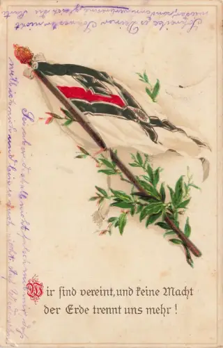 Wir sind vereint! Spruchkarte mit Reichsfahne Patriotika Postkarte AK 1913