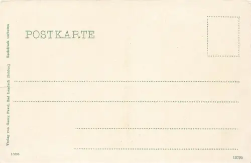 Villa Weberbauer und Schlösselbrücke Bad Landeck Schlesien Postkarte AK