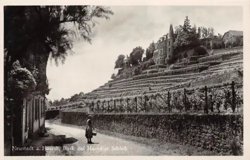 Neustadt a. Haardt Blick auf Haardter Schloß Postkarte AK