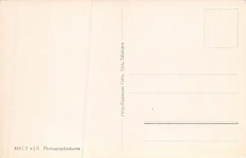 Neustadt a. Haardt Blick auf Haardter Schloß Postkarte AK