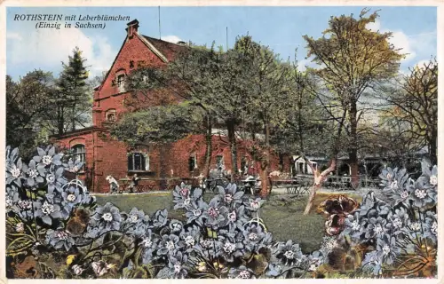Rothstein mit Leberblümchen (Einzig in Sachsen) Postkarte AK