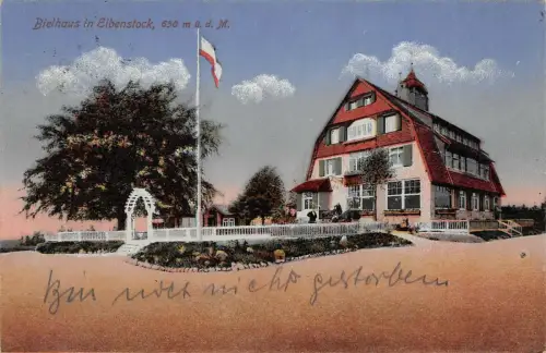 Bielhaus in Eibenstock 650 m ü. d. M. Postkarte AK 1920