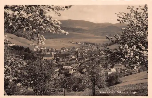 Freiwaldau (Jeseník) Ostsudetengau Postkarte AK