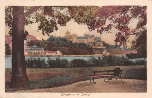 Bernburg Schloß Saale Postkarte AK 1920
